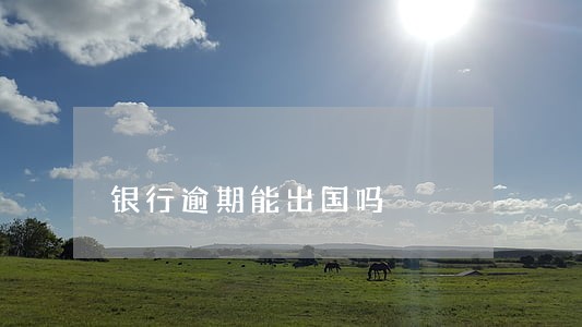 银行逾期能出国吗 银行逾期能出国吗