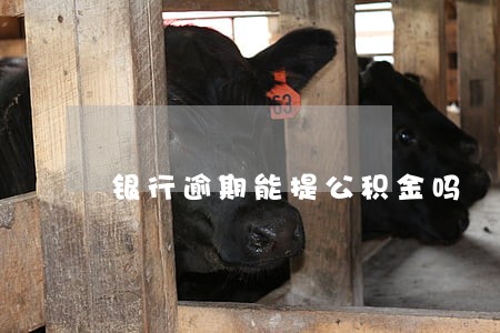 银行逾期能提公积金吗 银行逾期能提公积金吗