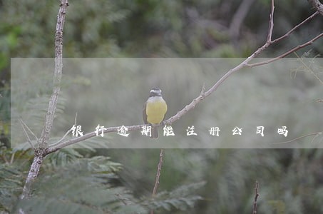 银行逾期能注册公司吗 银行逾期能注册公司吗