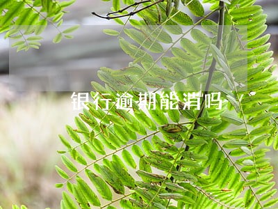 银行逾期能消吗 银行逾期能消吗