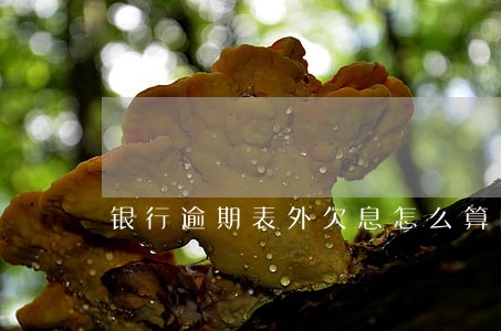 银行逾期表外欠息怎么算的 银行逾期表外欠息怎么算的