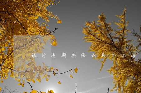 银行逾期要给利息吗上海 银行逾期要给利息吗上海