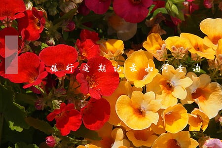 银行逾期记录如何查询 银行逾期记录如何查询