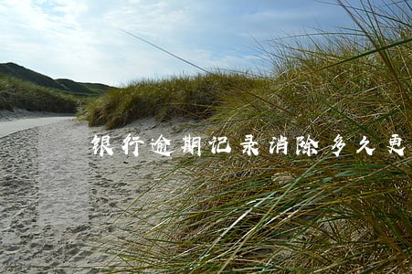 银行逾期记录消除多久更新 银行逾期记录消除多久更新