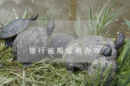 银行逾期证明办理 银行逾期证明办理