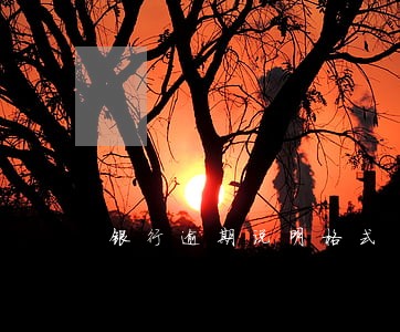 银行逾期说明格式 银行逾期说明格式