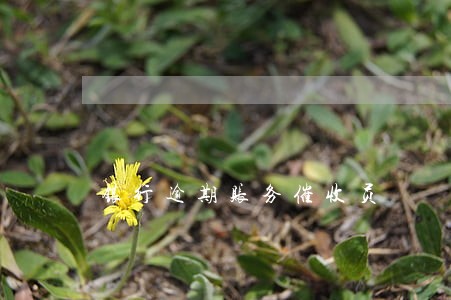 银行逾期账务催收员