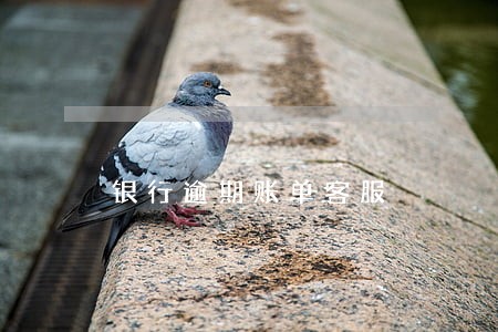 银行逾期账单客服 银行逾期账单客服