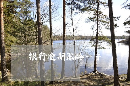 银行逾期账龄一手 银行逾期账龄一手