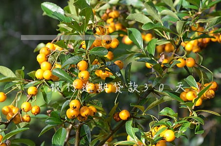 银行逾期贷款30天 银行逾期贷款30天