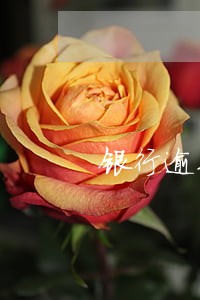 银行逾期贷款30天内 银行逾期贷款30天内