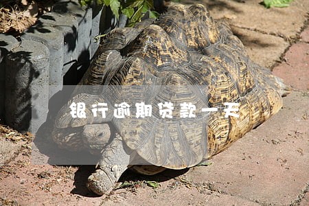 银行逾期贷款一天 银行逾期贷款一天