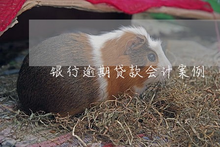 银行逾期贷款会计案例 银行逾期贷款会计案例