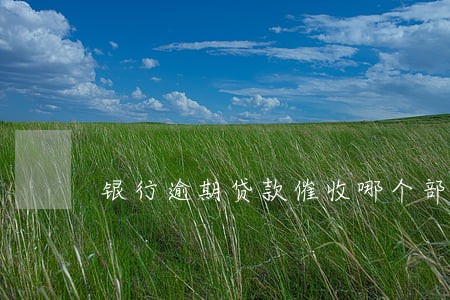 银行逾期贷款催收哪个部门 银行逾期贷款催收哪个部门