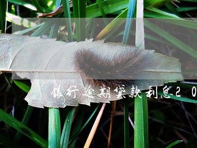 银行逾期贷款利息2017