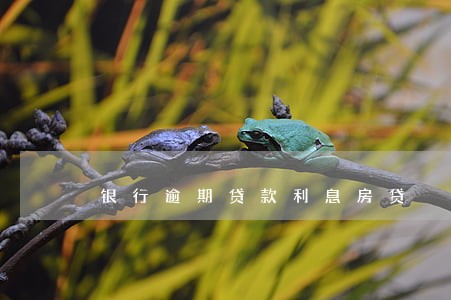 银行逾期贷款利息房贷