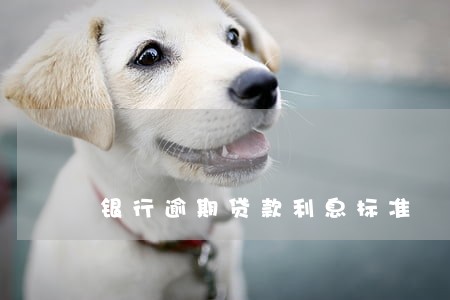 银行逾期贷款利息标准 银行逾期贷款利息标准