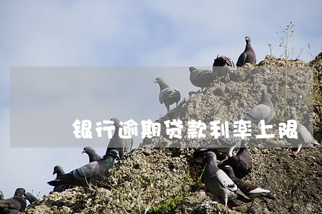 银行逾期贷款利率上限 银行逾期贷款利率上限