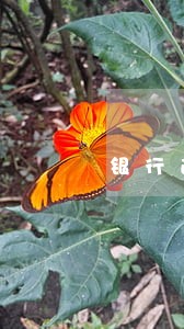 银行逾期贷款利率房贷 银行逾期贷款利率房贷