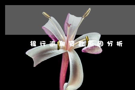 银行逾期贷款原因分析 银行逾期贷款原因分析