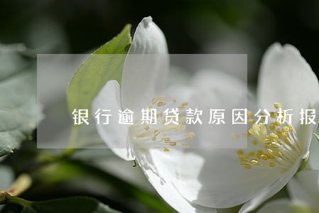银行逾期贷款原因分析报告 银行逾期贷款原因分析报告
