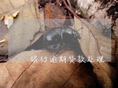 银行逾期贷款处理 银行逾期贷款处理