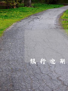 银行逾期贷款处理规定
