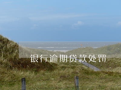 银行逾期贷款处罚 银行逾期贷款处罚
