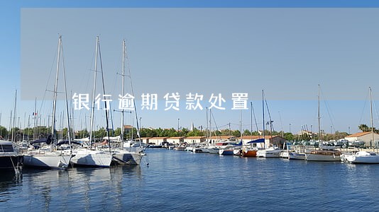 银行逾期贷款处置 银行逾期贷款处置