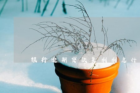 银行逾期贷款复利利息计算器 银行逾期贷款复利利息计算器
