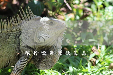 银行逾期贷款复息