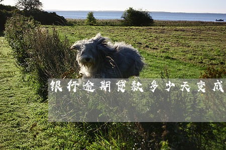 银行逾期贷款多少天变成表外 银行逾期贷款多少天变成表外
