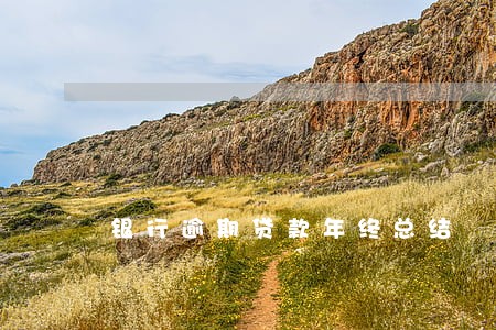 银行逾期贷款年终总结 银行逾期贷款年终总结