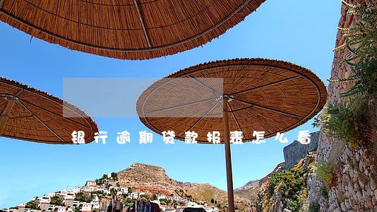 银行逾期贷款报表怎么看 银行逾期贷款报表怎么看