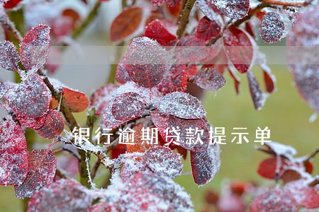 银行逾期贷款提示单 银行逾期贷款提示单