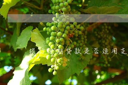 银行逾期贷款是否适用支付令 银行逾期贷款是否适用支付令