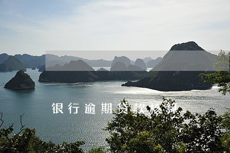 银行逾期贷款核算 银行逾期贷款核算