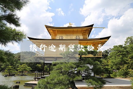 银行逾期贷款检查 银行逾期贷款检查