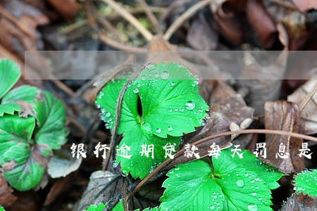 银行逾期贷款每天罚息是多少 银行逾期贷款每天罚息是多少