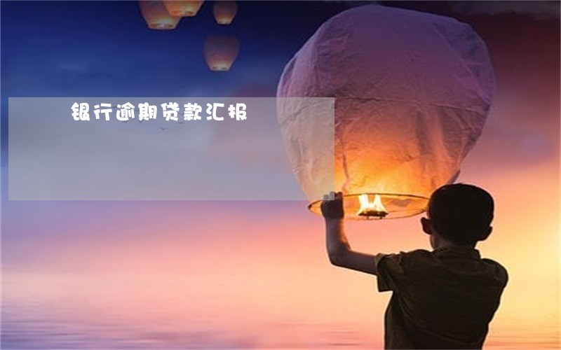 银行逾期贷款汇报