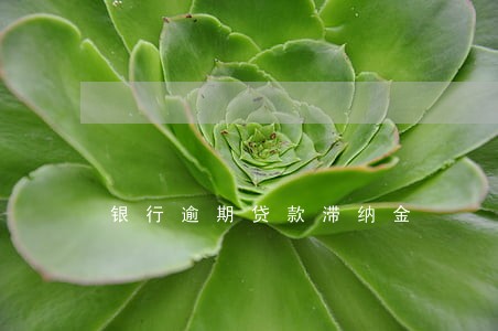 银行逾期贷款滞纳金