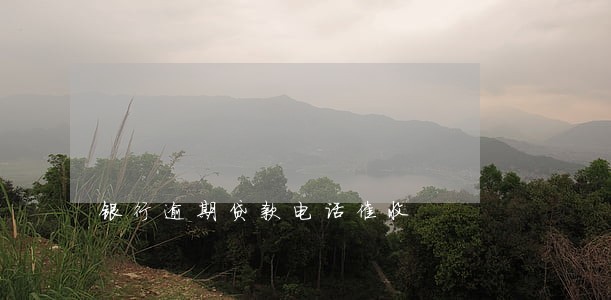 银行逾期贷款电话催收 银行逾期贷款电话催收