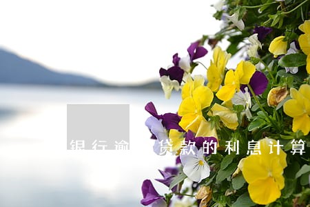 银行逾期贷款的利息计算 银行逾期贷款的利息计算