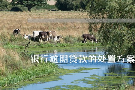 银行逾期贷款的处置方案 银行逾期贷款的处置方案