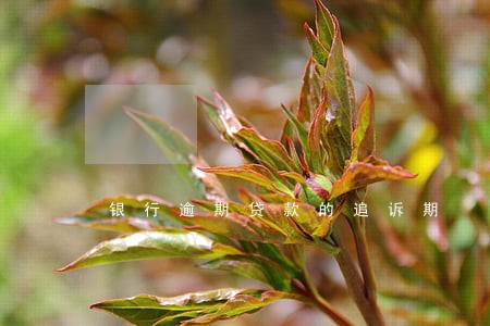 银行逾期贷款的追诉期