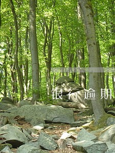 银行逾期贷款考核