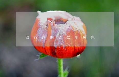 银行逾期贷款能免息