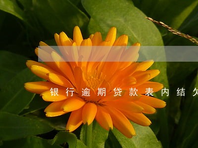 银行逾期贷款表内结欠复息 银行逾期贷款表内结欠复息