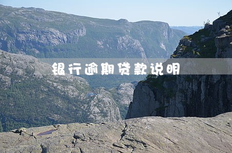 银行逾期贷款说明 银行逾期贷款说明