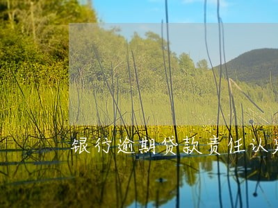 银行逾期贷款责任认定反馈 银行逾期贷款责任认定反馈